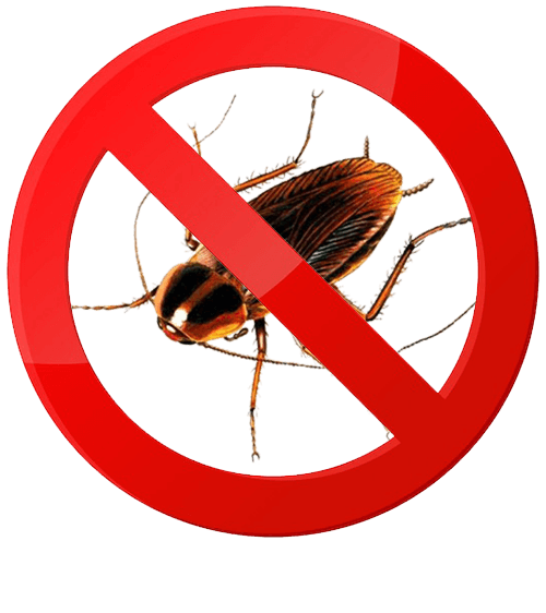 barata