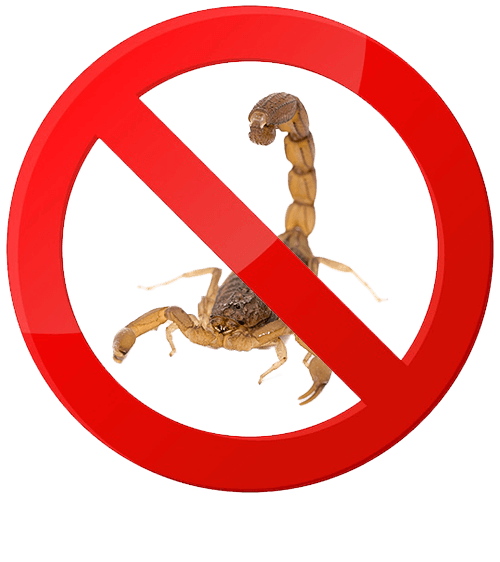 escorpiao